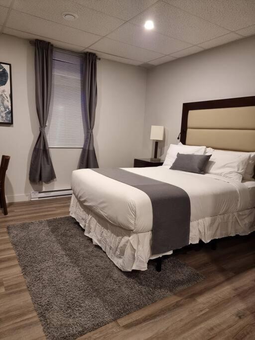 Cozy Sweet Studio #9. Ten Min To D.T Ottawa Gatineau Ngoại thất bức ảnh